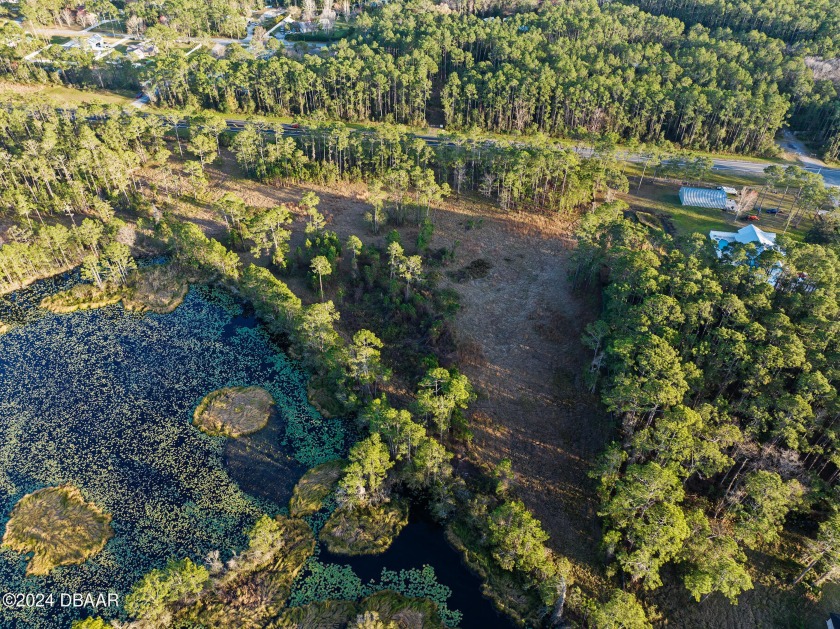 Beautiful 6 acre parcel with almost 800 ft frontage on the north - Beach Acreage for sale in Ormond Beach, Florida on Beachhouse.com