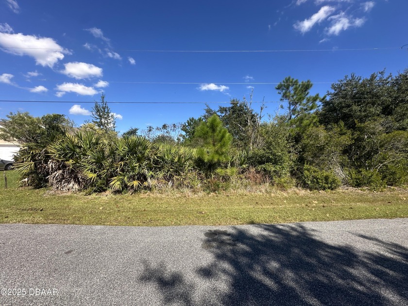 Build your dream home on this beautiful vacant lot located in - Beach Lot for sale in Palm Coast, Florida on Beachhouse.com