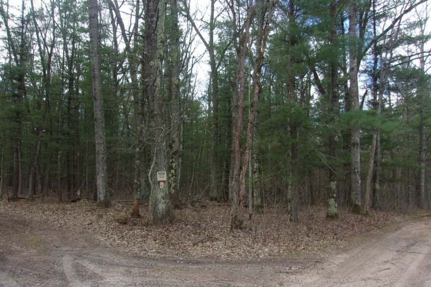 This 20 acres is ready for you to enjoy, Hunting, camping or - Beach Acreage for sale in Free Soil, Michigan on Beachhouse.com