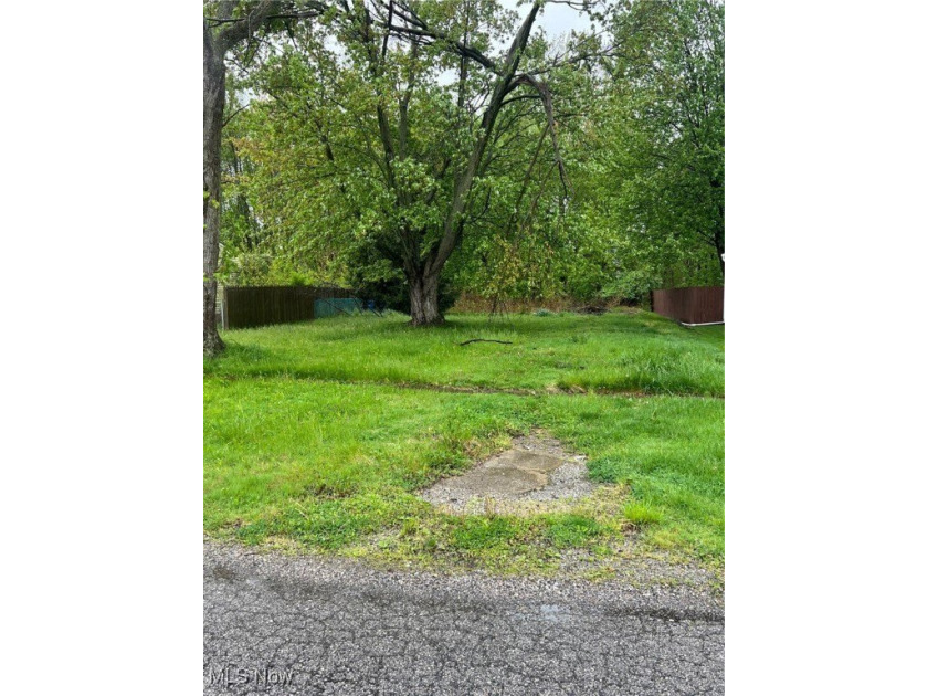 Can't find the perfect house...why not build one?  Don't miss - Beach Lot for sale in Sheffield Lake, Ohio on Beachhouse.com