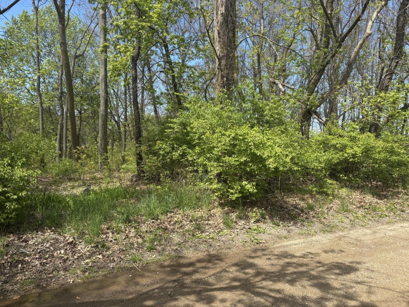 Nestled in a serene ravine setting, these five secluded lots - Beach Lot for sale in Benton Harbor, Michigan on Beachhouse.com