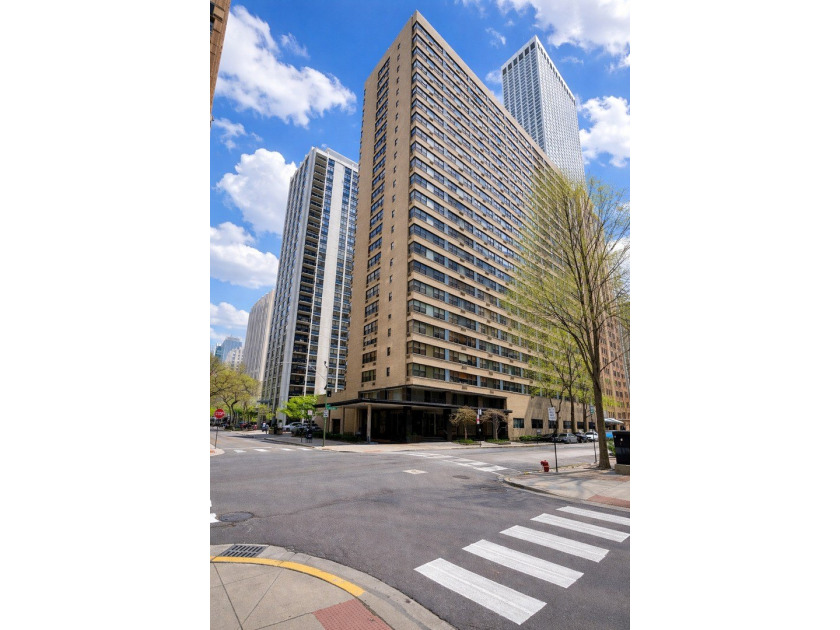 Spacious Streeterville 1 bedroom, 1 bath condo in a great - Beach Condo for sale in Chicago, Illinois on Beachhouse.com