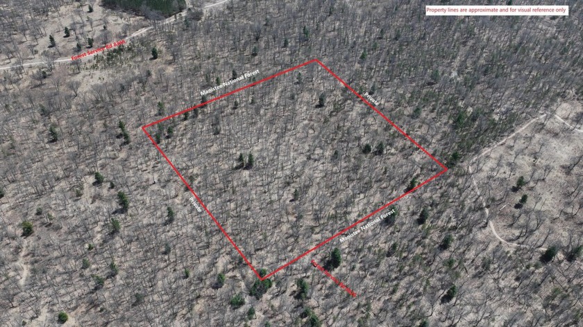 Are you looking for your next hunting property or ORV base Camp? - Beach Acreage for sale in Free Soil, Michigan on Beachhouse.com