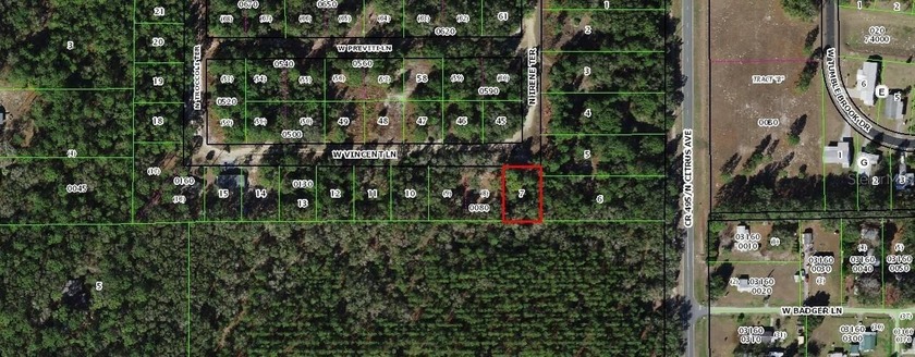 Beautiful building lot just a short distance to the Gulf - Beach Lot for sale in Crystal River, Florida on Beachhouse.com