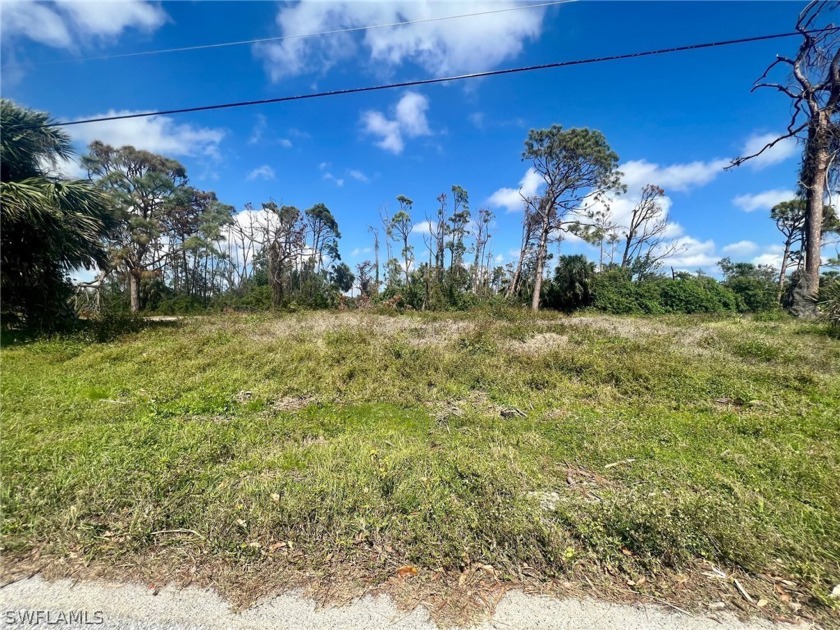 A very nice lot in Rotunda West which is developing quite - Beach Lot for sale in Rotonda West, Florida on Beachhouse.com