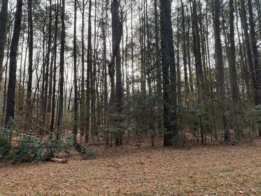 This sale includes THREE lots being sold altogether. Looking for - Beach Lot for sale in Heathsville, Virginia on Beachhouse.com