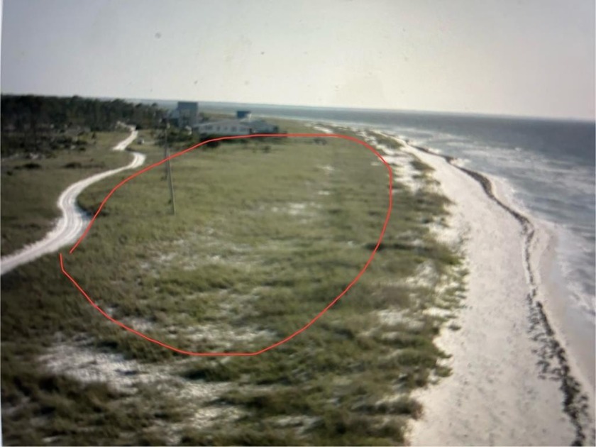 Five contiguous lots for sale on Dog Island,  Located on the - Beach Acreage for sale in Carabelle, Florida on Beachhouse.com