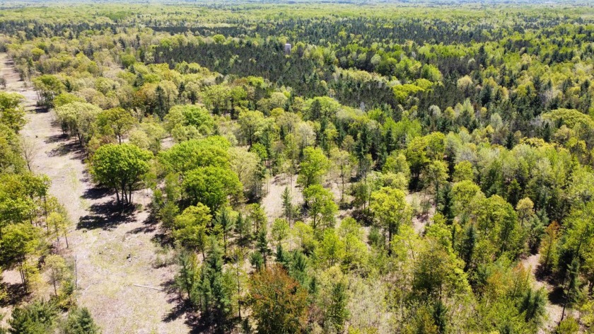 Location Location Location! This 10 acre parcel is just off Red - Beach Acreage for sale in Manistee, Michigan on Beachhouse.com