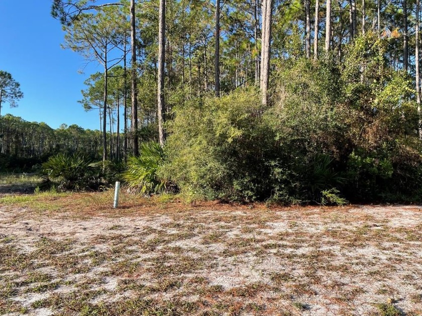 Experience the best of golf course living with this exceptional - Beach Lot for sale in Carabelle, Florida on Beachhouse.com