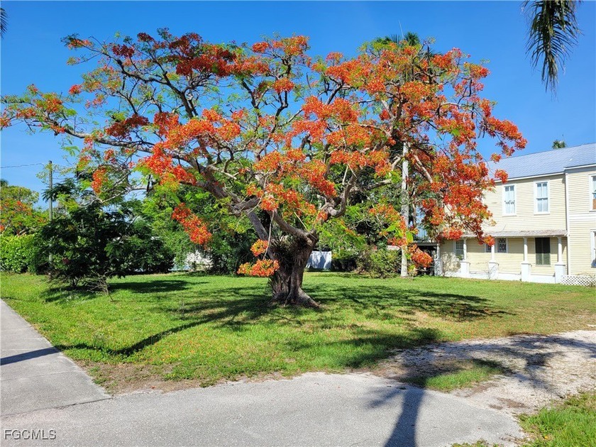 Own a piece of history on the palm tree-lined street of - Beach Home for sale in Fort Myers, Florida on Beachhouse.com