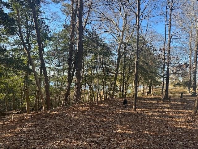 Check out this affordable water view lot in White Sand Harbour - Beach Lot for sale in Heathsville, Virginia on Beachhouse.com