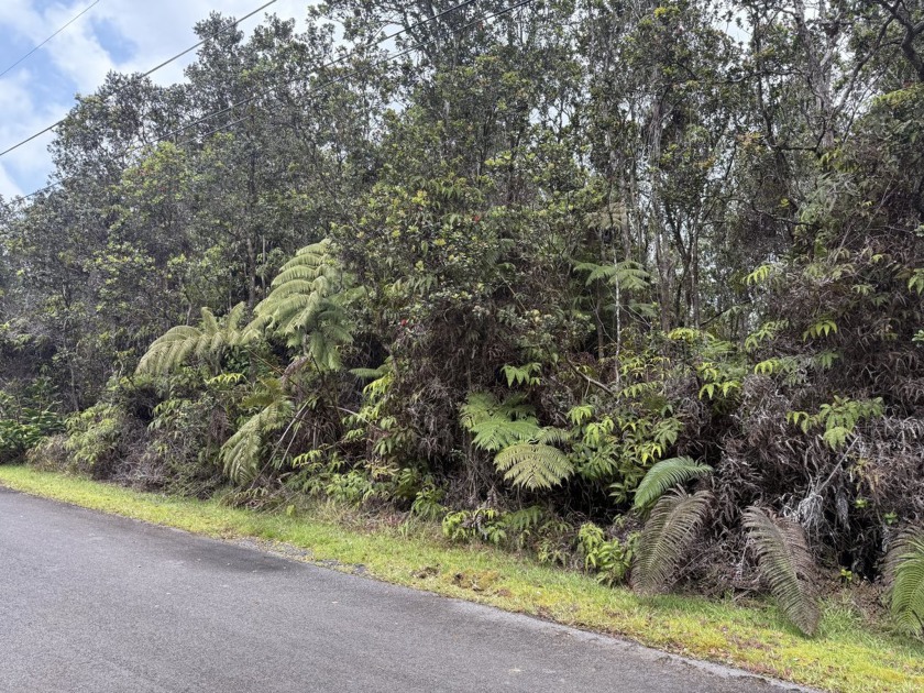 Embrace the cool, refreshing climate of Volcano and enjoy the - Beach Lot for sale in Volcano, Hawaii on Beachhouse.com