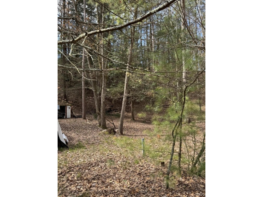 Nestled between Ludington and Pentwater you will have your - Beach Lot for sale in Pentwater, Michigan on Beachhouse.com