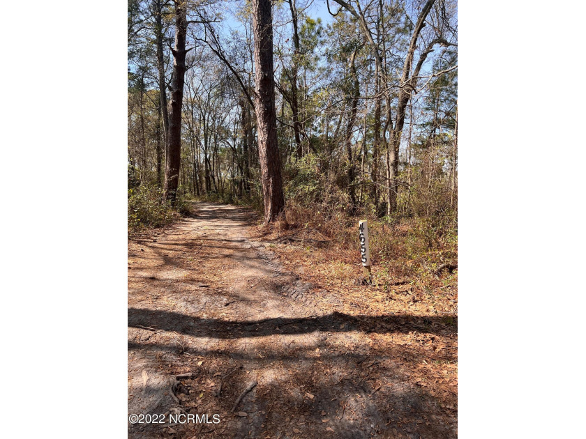 4.9 acres off Carolina Beach Rd. Wooded tract with small home - Beach Acreage for sale in Wilmington, North Carolina on Beachhouse.com
