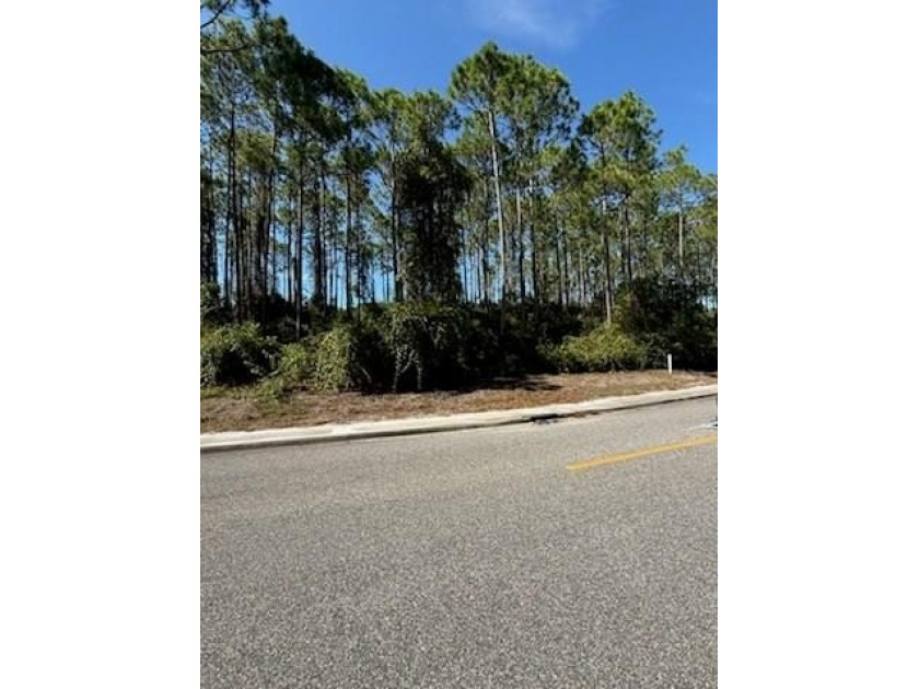 This high and dry lot overlooks a pond and the 12th green - Beach Lot for sale in Carabelle, Florida on Beachhouse.com