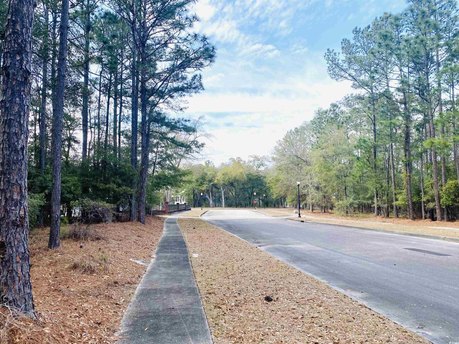 Welcome to Harmony Township located in Georgetown, South - Beach Lot for sale in Georgetown, South Carolina on Beachhouse.com