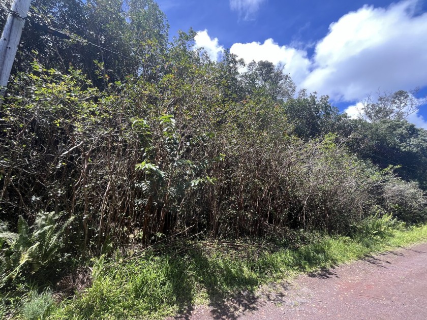 Prime location in the vibrant Black Sand Beach community! This 7 - Beach Lot for sale in Pahoa, Hawaii on Beachhouse.com