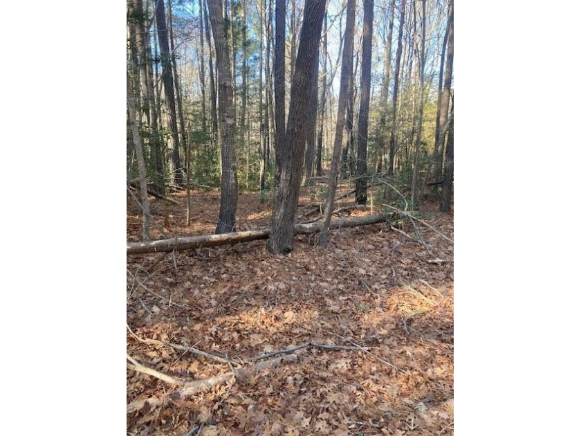 000 Island Point Road - Beach Lot for sale in Heathsville, Virginia on Beachhouse.com