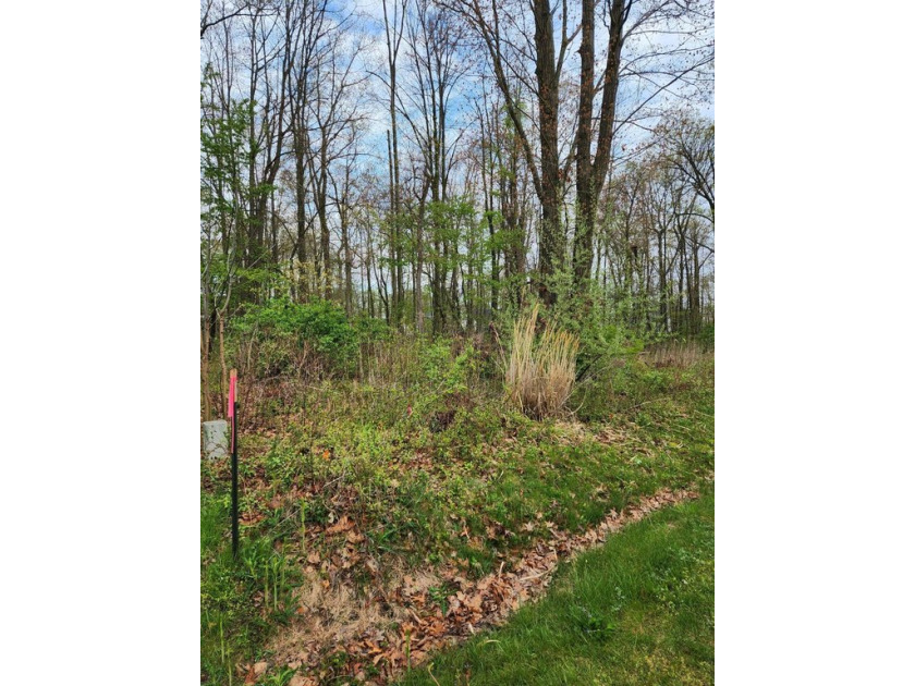 Buildable Lot in Summerhill Cottages just waiting for your new - Beach Lot for sale in New Buffalo, Michigan on Beachhouse.com