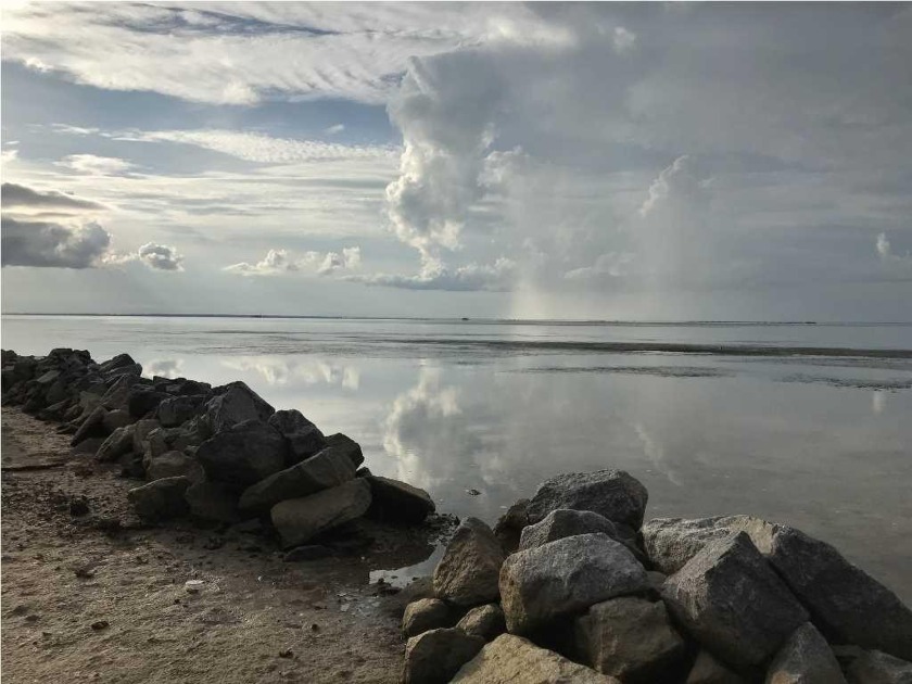 Dove Lane stretches out into the Apalachicola Bay and ends at - Beach Lot for sale in St. George Island, Florida on Beachhouse.com