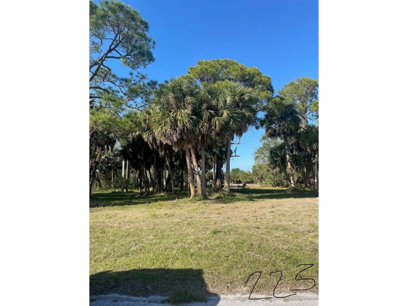 BUILD your DREAM home or INVEST on this mostly cleared 80 x 110 - Beach Lot for sale in Rotonda West, Florida on Beachhouse.com