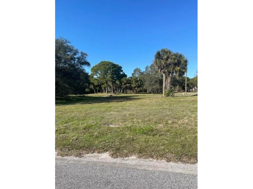 BUILD your DREAM home or INVEST on this mostly cleared 80 x 110 - Beach Lot for sale in Rotonda West, Florida on Beachhouse.com