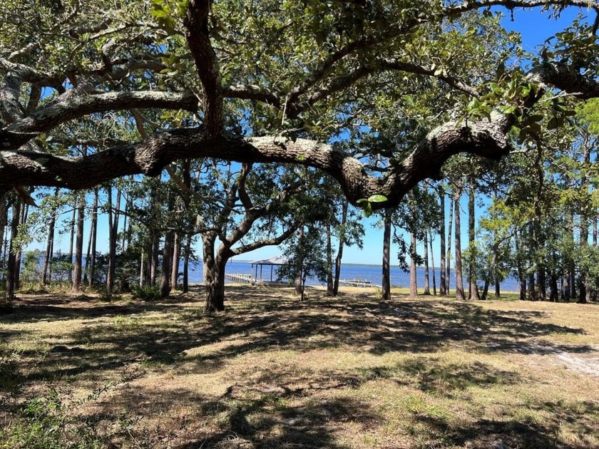 Spectacular sunset views from these 3.2 bay front acres that are - Beach Acreage for sale in Eastpoint, Florida on Beachhouse.com