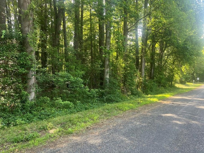 Two wooded waterfront parcels located in a highly sought-after - Beach Lot for sale in Reedville, Virginia on Beachhouse.com