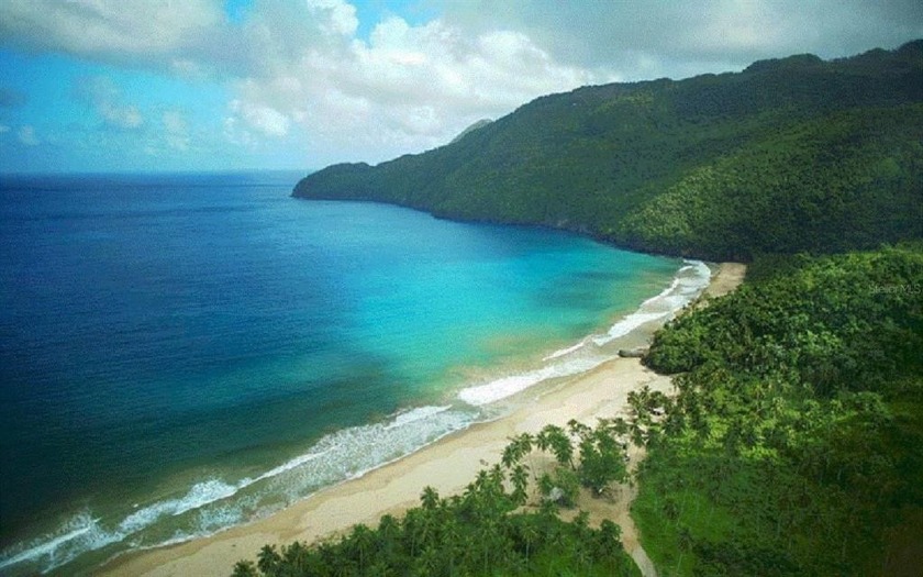This vacant lot has 5.9 Acres/ 258,333 SqFt/ 24,000 SqM - Beach Acreage for sale in El Valle, Samana Province, Dominican Republic on Beachhouse.com