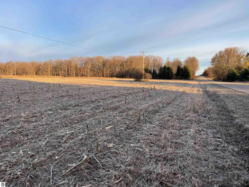 Potential awaits on this 10 acres of countryside in Leelanau - Beach Acreage for sale in Maple City, Michigan on Beachhouse.com