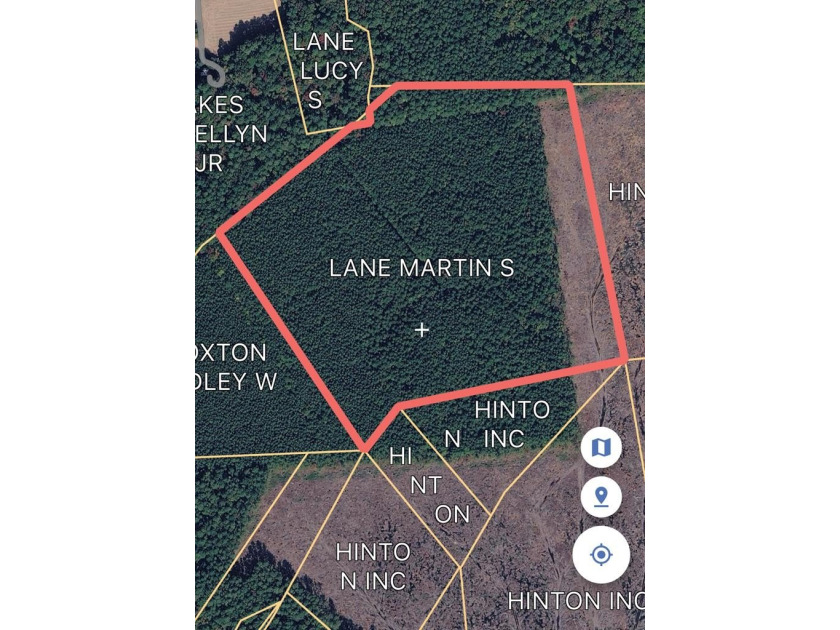 Timber property with a 25 foot access off of Sunnybank road - Beach Lot for sale in Sunnybank, Virginia on Beachhouse.com