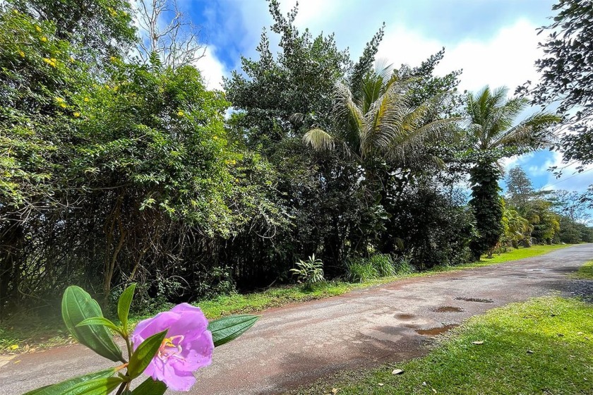 Prime 7,736 sqft Lot in Black Sands Beach Subdivision, Pahoa - Beach Lot for sale in Pahoa, Hawaii on Beachhouse.com