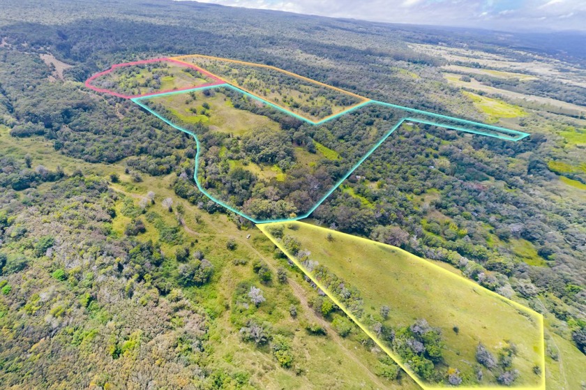Stunning 148 Acres in O'okala Laupahoehoe PRICED BELOW THE - Beach Acreage for sale in Ookala, Hawaii on Beachhouse.com