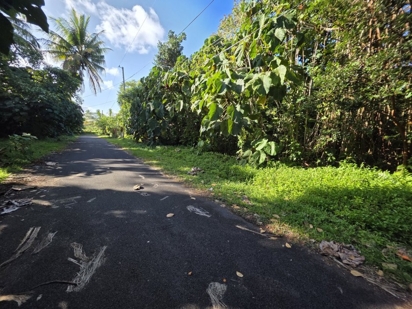 Vacant lot on a dead end street near the bottom of Hawaiian - Beach Lot for sale in Pahoa, Hawaii on Beachhouse.com