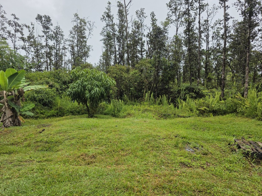 Located at the top of Ainaloa subdivision. Both Spectrum and - Beach Lot for sale in Pahoa, Hawaii on Beachhouse.com