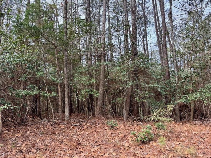 Two wooded lots being sold together in the waterfront community - Beach Lot for sale in Lancaster, Virginia on Beachhouse.com