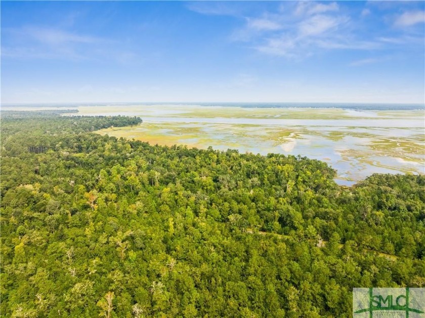 Lot 10 of The Bluffs at Laurel View, located near the historic - Beach Acreage for sale in Midway, Georgia on Beachhouse.com