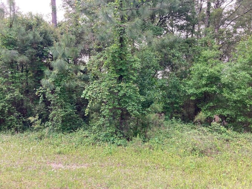 SELLER MOTIVATED!!  Nice building site in a cute sub division - Beach Lot for sale in Carabelle, Florida on Beachhouse.com