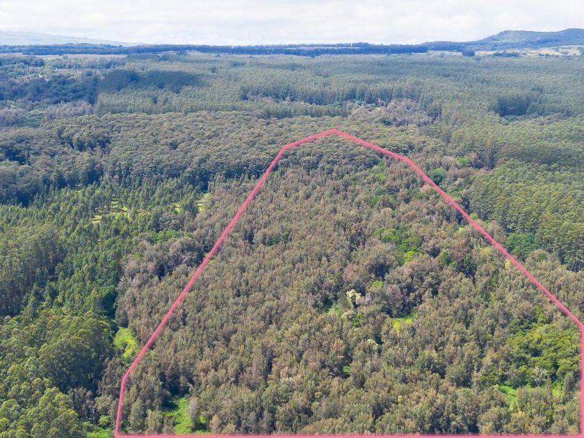 Exceptional Opportunity: 197 Acres with Ocean Views near Waipio - Beach Acreage for sale in Honokaa, Hawaii on Beachhouse.com