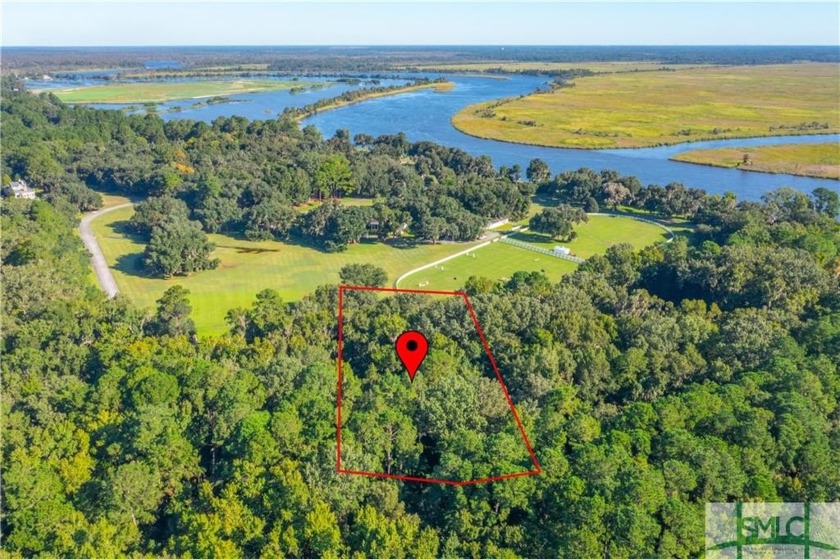 Build your dream home among centuries-old live oak trees draped - Beach Lot for sale in Richmond Hill, Georgia on Beachhouse.com