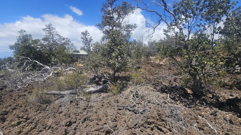 Great lot, in lower part of HOVE on Walaka. Lot slopes up a - Beach Lot for sale in Ocean View, Hawaii on Beachhouse.com