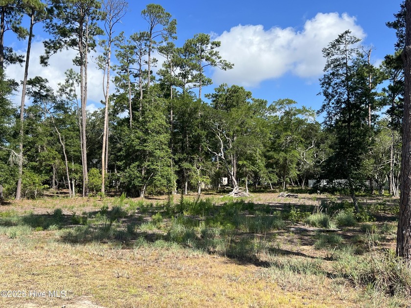 This LOT PERKS !! Waterfront and Water Access Community! It - Beach Lot for sale in Supply, North Carolina on Beachhouse.com