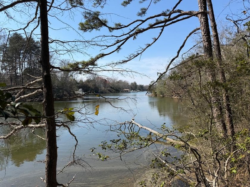 Great large acreage property with mature timber elevated - Beach Lot for sale in Reedville, Virginia on Beachhouse.com