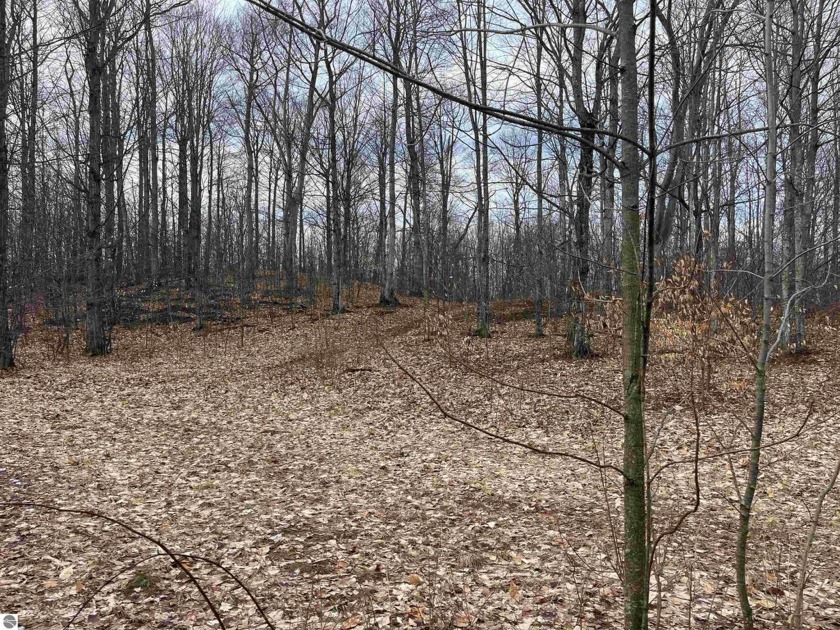 Privacy and nature abound in this one of a kind wooded parcel - Beach Lot for sale in Empire, Michigan on Beachhouse.com