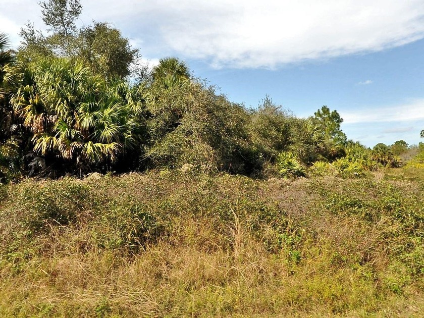 This vacant lot offers the perfect opportunity to build your - Beach Lot for sale in North Port, Florida on Beachhouse.com