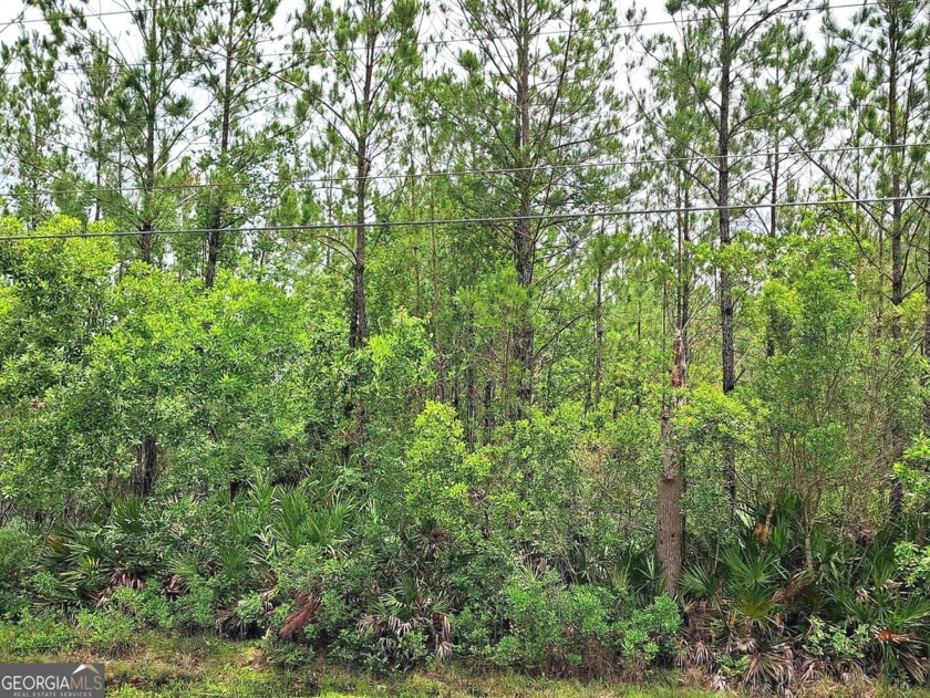 This is a build able lot 3.72 acres, build your dream home and - Beach Acreage for sale in Waverly, Georgia on Beachhouse.com