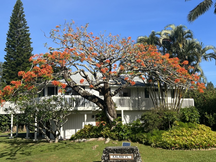 ACCEPTING BACK-UP OFFERS!!! Classic plantation style meets - Beach Home for sale in Princeville, Hawaii on Beachhouse.com