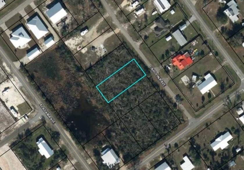 What a great opportunity to purchase a lot on Caroline Avenue in - Beach Lot for sale in Port St Joe, Florida on Beachhouse.com