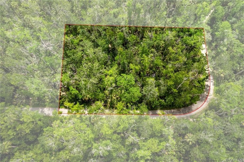 The perfect location for the nature enthusiast, just a stone's - Beach Lot for sale in Homosassa, Florida on Beachhouse.com
