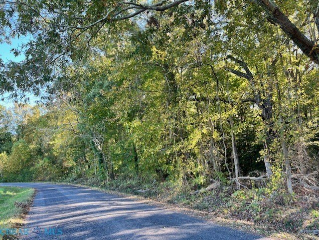 Carters Creek, Yopps Cove - need I say more. Elevated building - Beach Acreage for sale in White Stone, Virginia on Beachhouse.com
